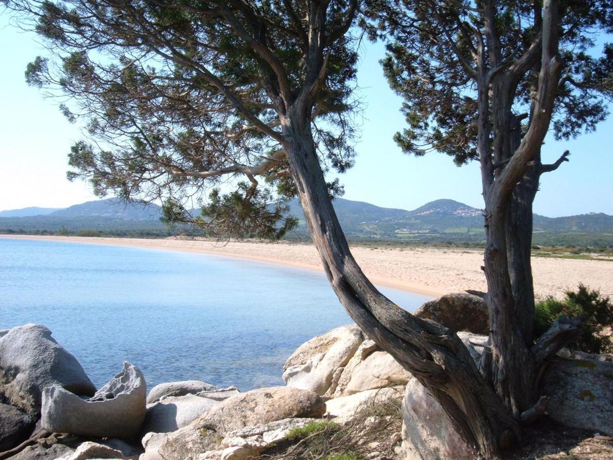 La Residenza Poseidone Apartment Santa Teresa Gallura Bagian luar foto